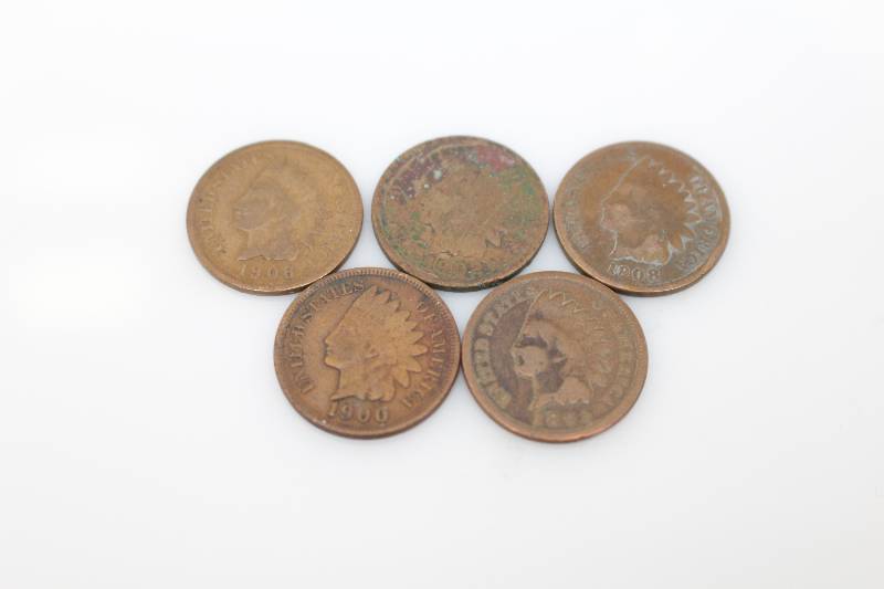 Lot of (5) Indian Head Pennies (1902, 1900, 1908, 1895, 1906)