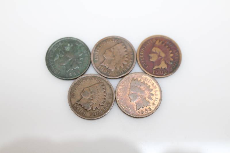 Lot of (5) Indian Head Pennies (1903, 1902, 1900, 1893, 1901)