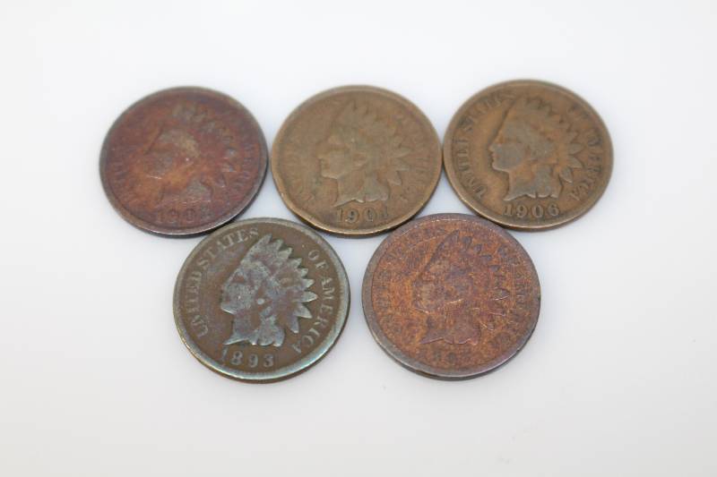 Lot of (5) Indian Head Pennies (1906, 1907, 1893, 1902, 1901)