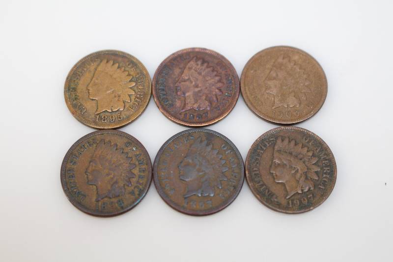 Lot of (6) Indian Head Pennies (1907x2, 1898, 1906, 1897, 1895)