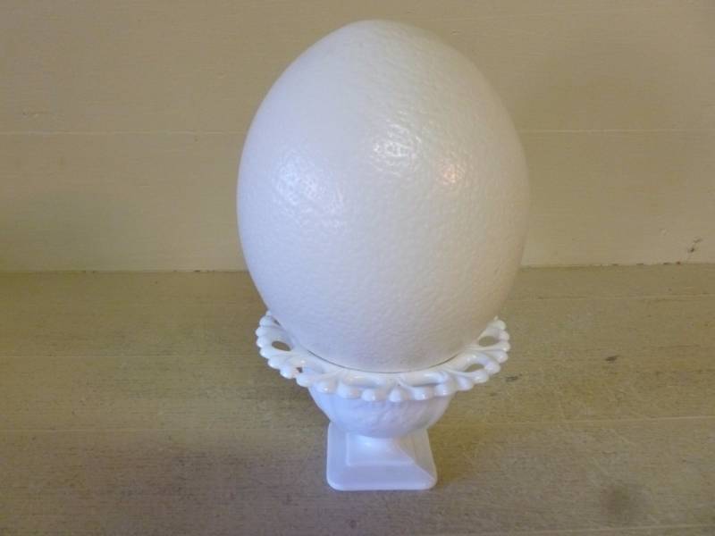 lot 23 image: Ostrich Egg