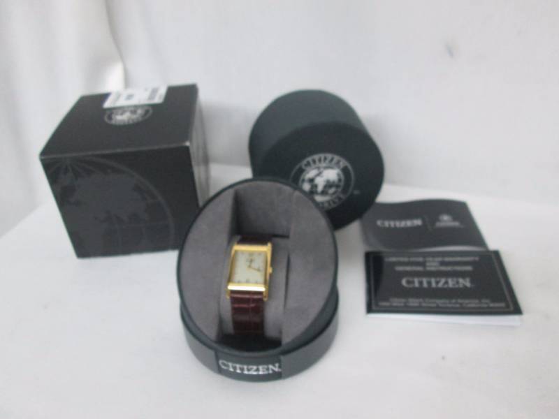 Citzen Mens Eco Drive Brown Leather Watch