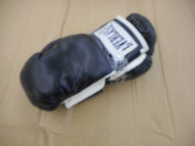 EVERLAST BOXING GLOVES
