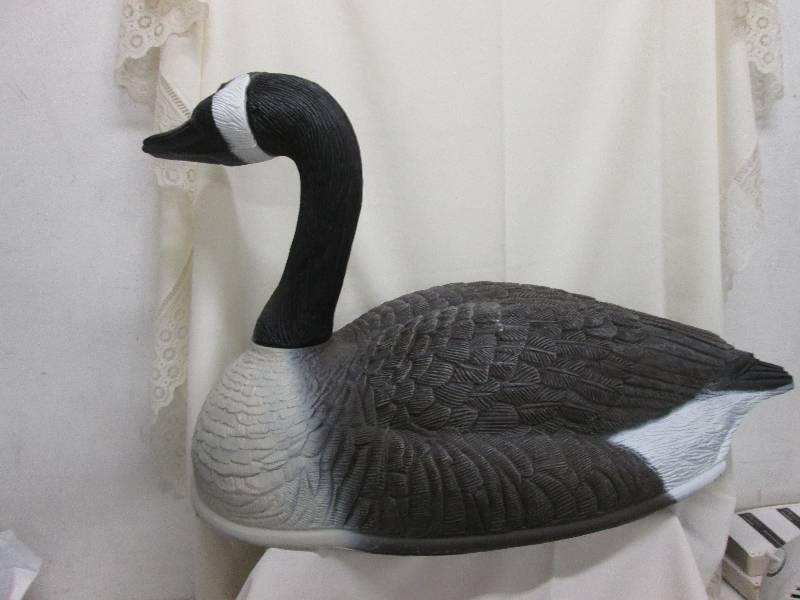 Large Canada goose shell 34Wx 20H...