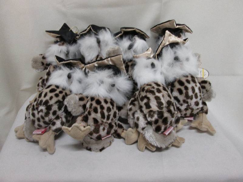 Lot of 14 Ty graduation owls ...