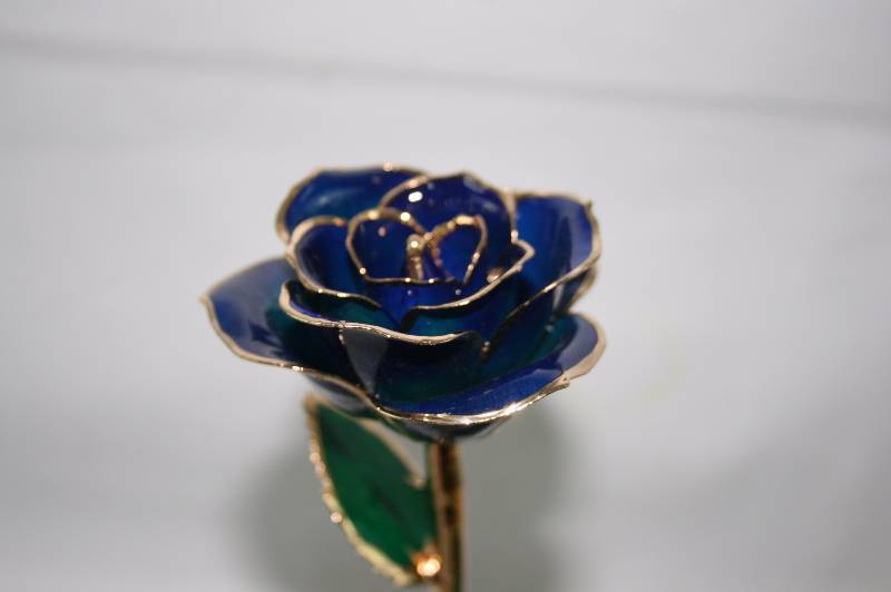 Gold Plated Dipped Rose
