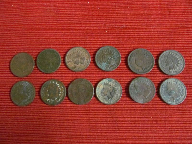lot 135 image: Indian head pennies