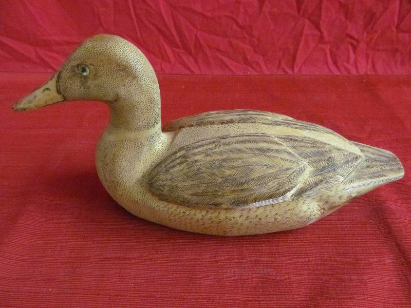 lot 185 image: wood duck