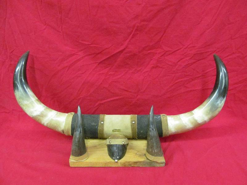 lot 206 image: bull horns