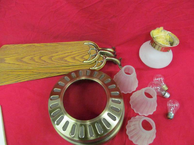 lot 210 image: ceiling fan