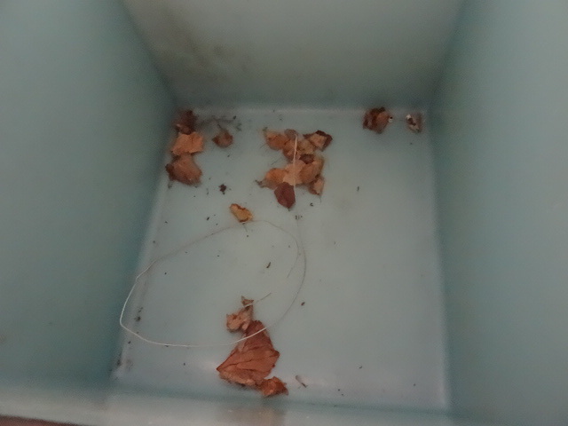 lot 180 image: Manitowac Ice Maker and Bin