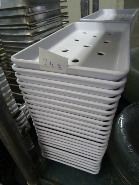 lot 243 image: Plastic Trays 5 X 9 Qty 46