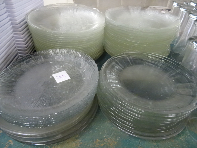 lot 244 image: Misc Glass Plates