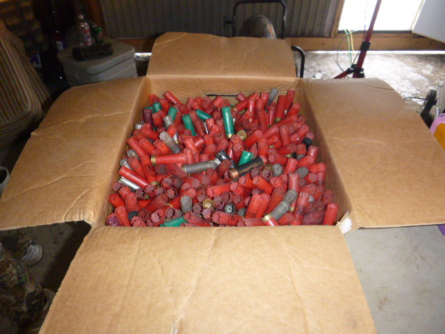 lot 89 image: 12 Gauge Shotgun Empty Shells
