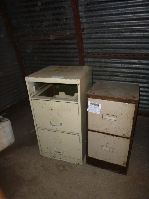 lot 100 image: 2 File Cabinets