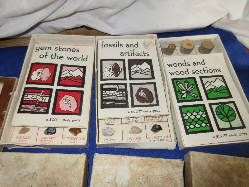 collectible fossil   rocks and gems