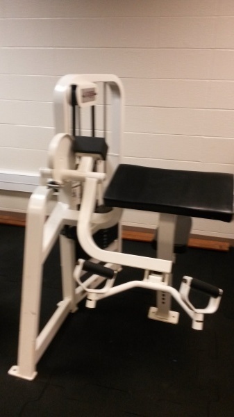 Cybex Arm Curl Machine