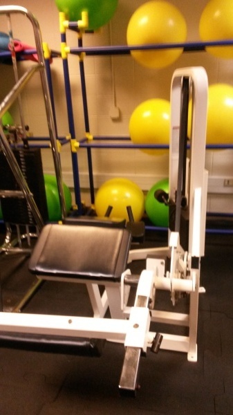 Cybex Leg Curl