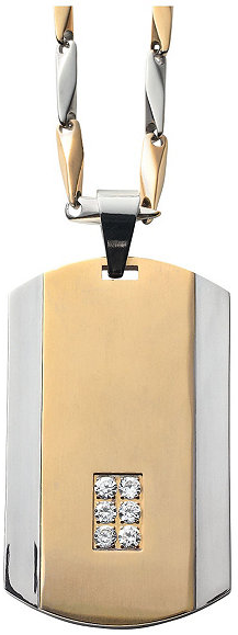 Two-Tone Stainless Steel CZ Dog Tag & Bracelet Set