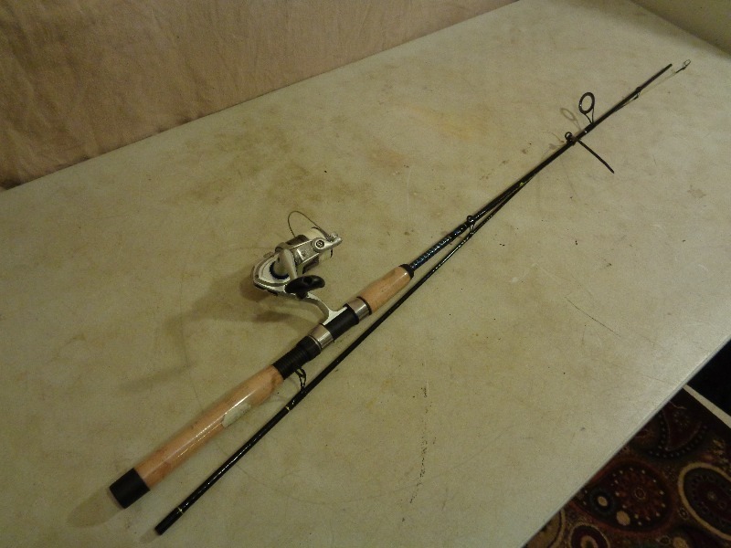 Shakespeare Ugly Stick Lite Pro Rod and Shakespeare Reel