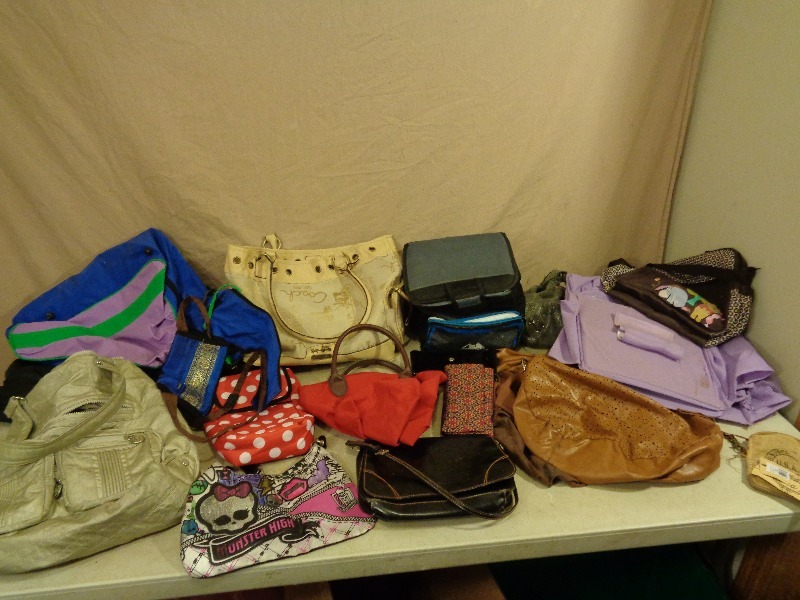 Large Lot of Bags and Purses