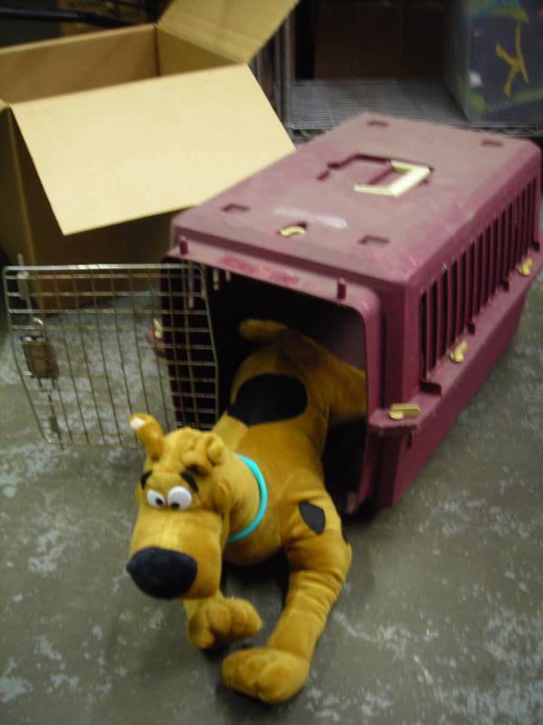 lot 16 image: Pet Shuttle & Scooby Doo Stuffed Animal