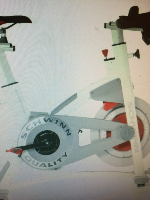 Schwinn Model AC Performance Commercial Spin Bike Stationary Exercise Bike