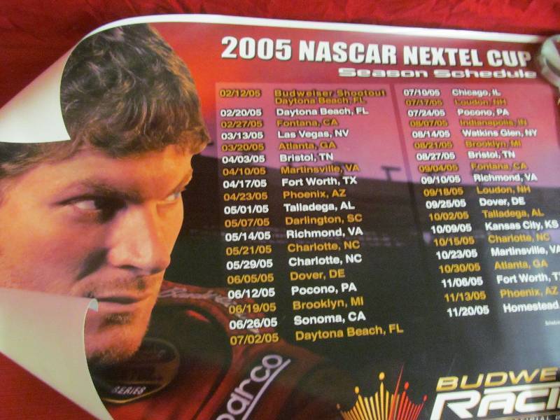 lot 55 image: Dale Earnhardt Jr. Items