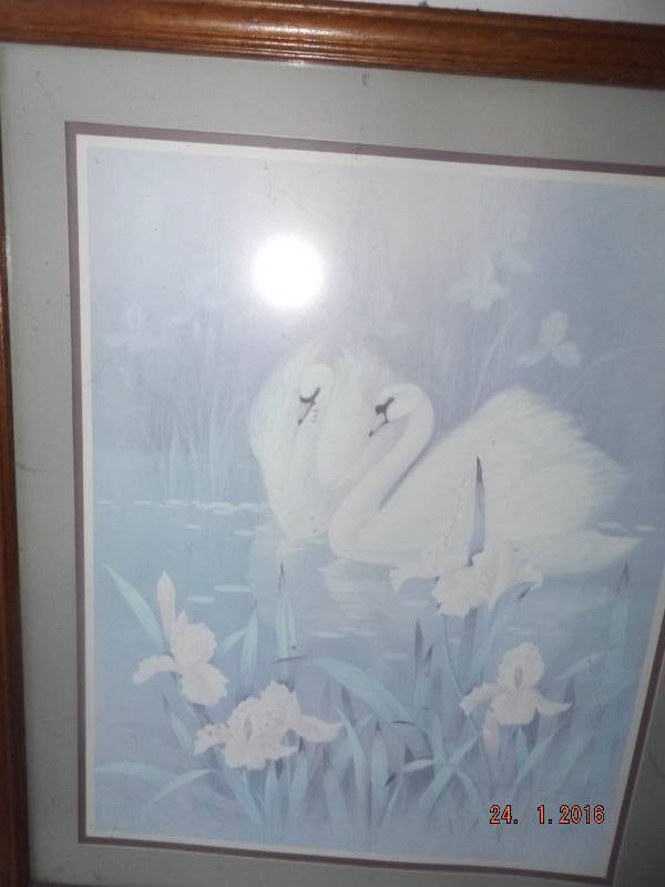 Framed & Matted Print of 2 Swans