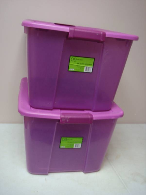 Pair Of Clear Purple Storage Bins