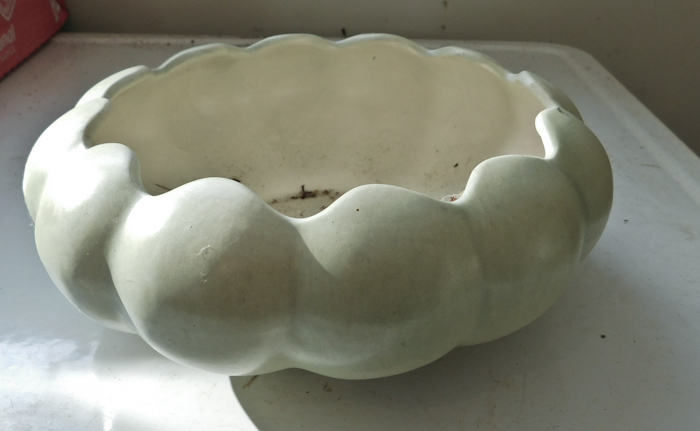 lot 53 image: Red Wing White glazed scalloped bowl 278