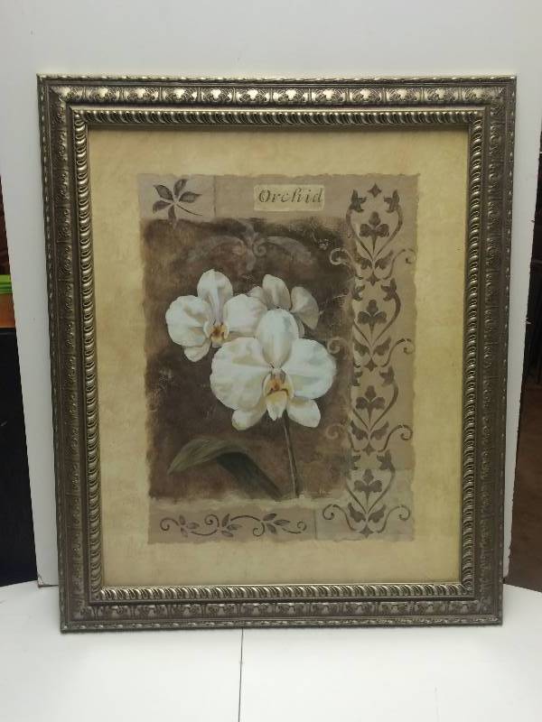 Orchid Framed Picture
