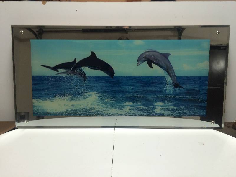 Dolphin Lighted Picture