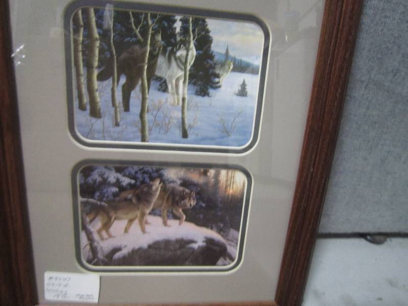 NEW 2 WILDLIFE PICTURES