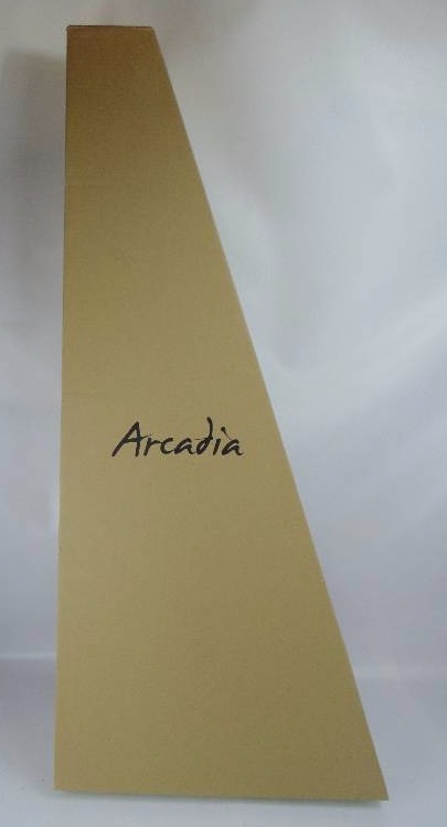 Arcadia 41 Dreadnought Acoustic Guitar Kit