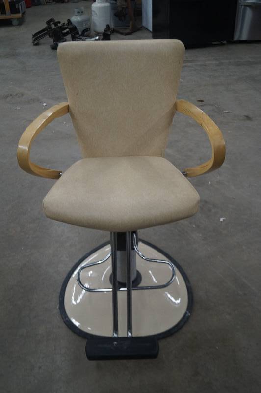 Salon Chair