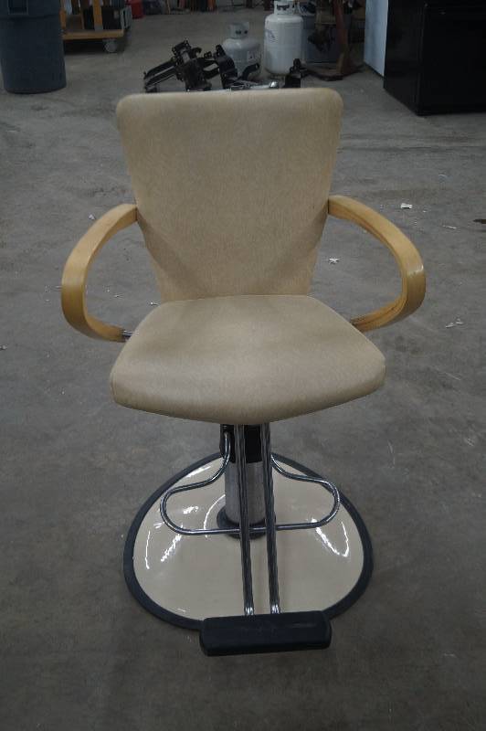 Salon Chair