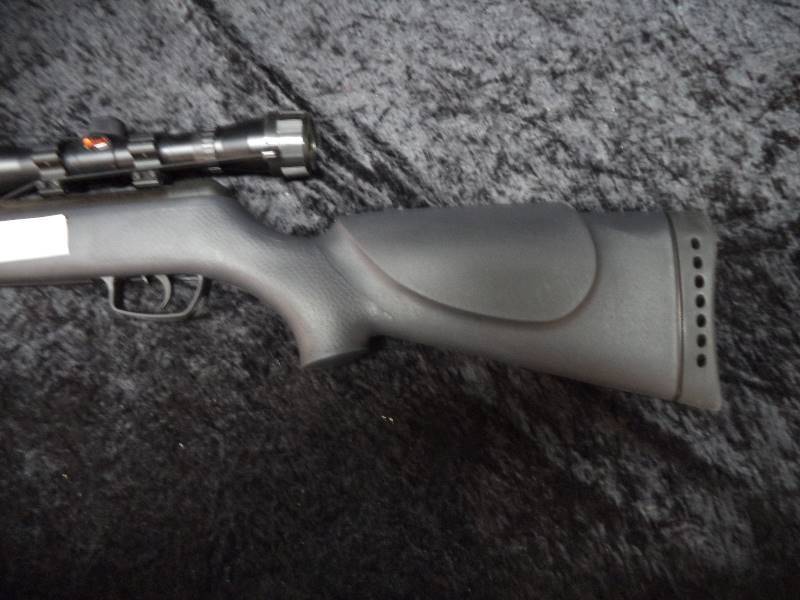 Gamo Big Cat 1200 BB Gun