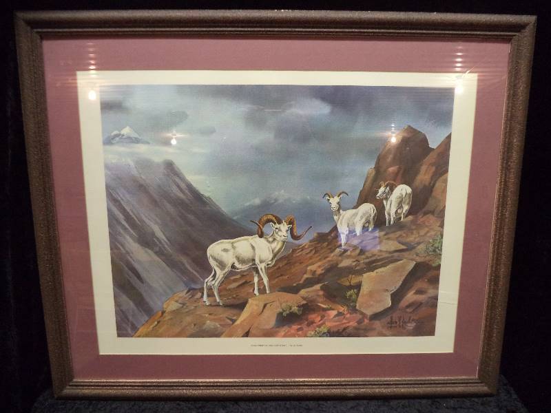Les Kouba, Dall Sheep in High Country