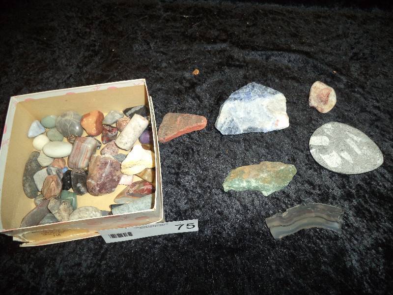 Lot - Misc Rocks, Agates, Fossils