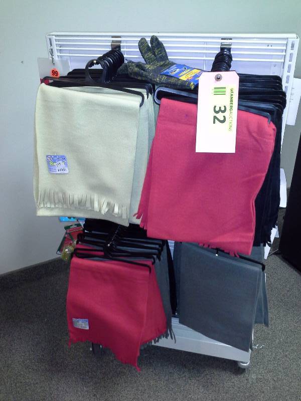 Scarf lot and other winter accessories