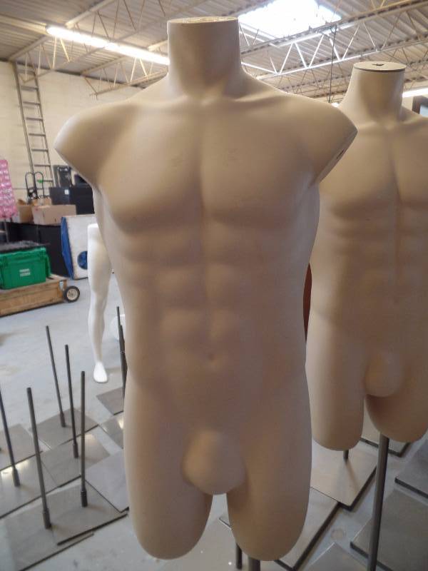 Beige Male Torso Mannequins