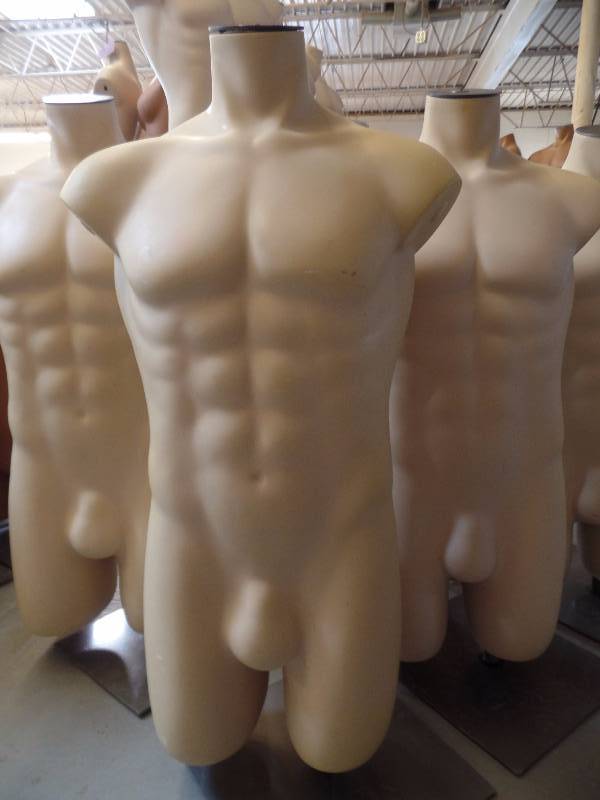 Beige Male Torso Mannequins