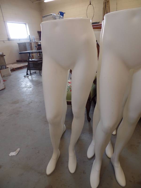 White Female Pants Forms
