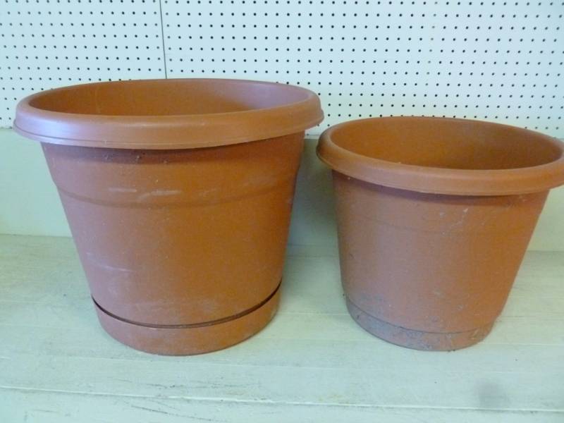 lot 19 image: Flower Pots