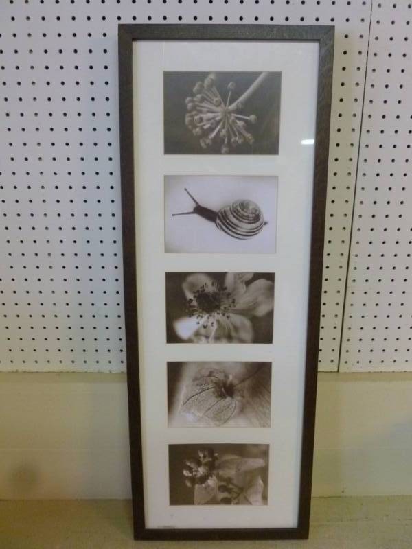 lot 177 image: Picture