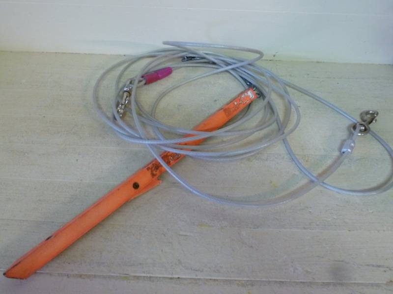 lot 273 image: Dog Cable