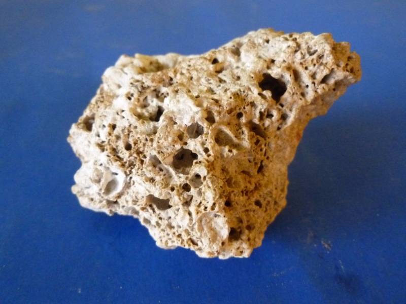 lot 275 image: Coral Rock