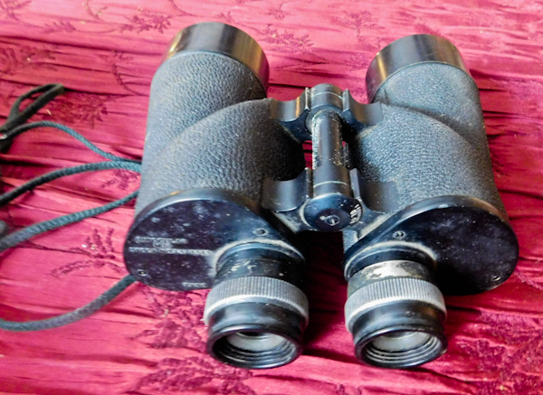 lot 293 image: binoculars
