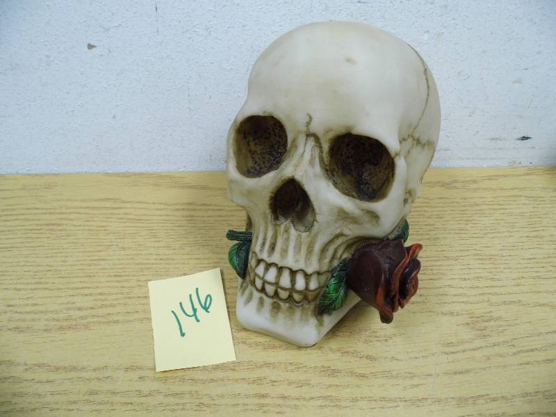 Skull w Red Rose